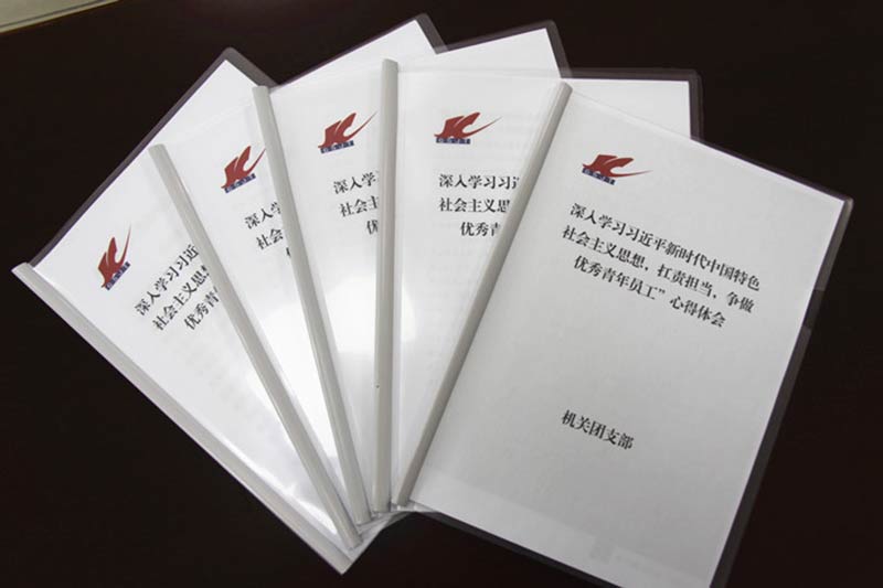 公司團委深入開展學(xué)習(xí)新思想，爭做扛責(zé)擔(dān)當(dāng)優(yōu)秀青年員工活動